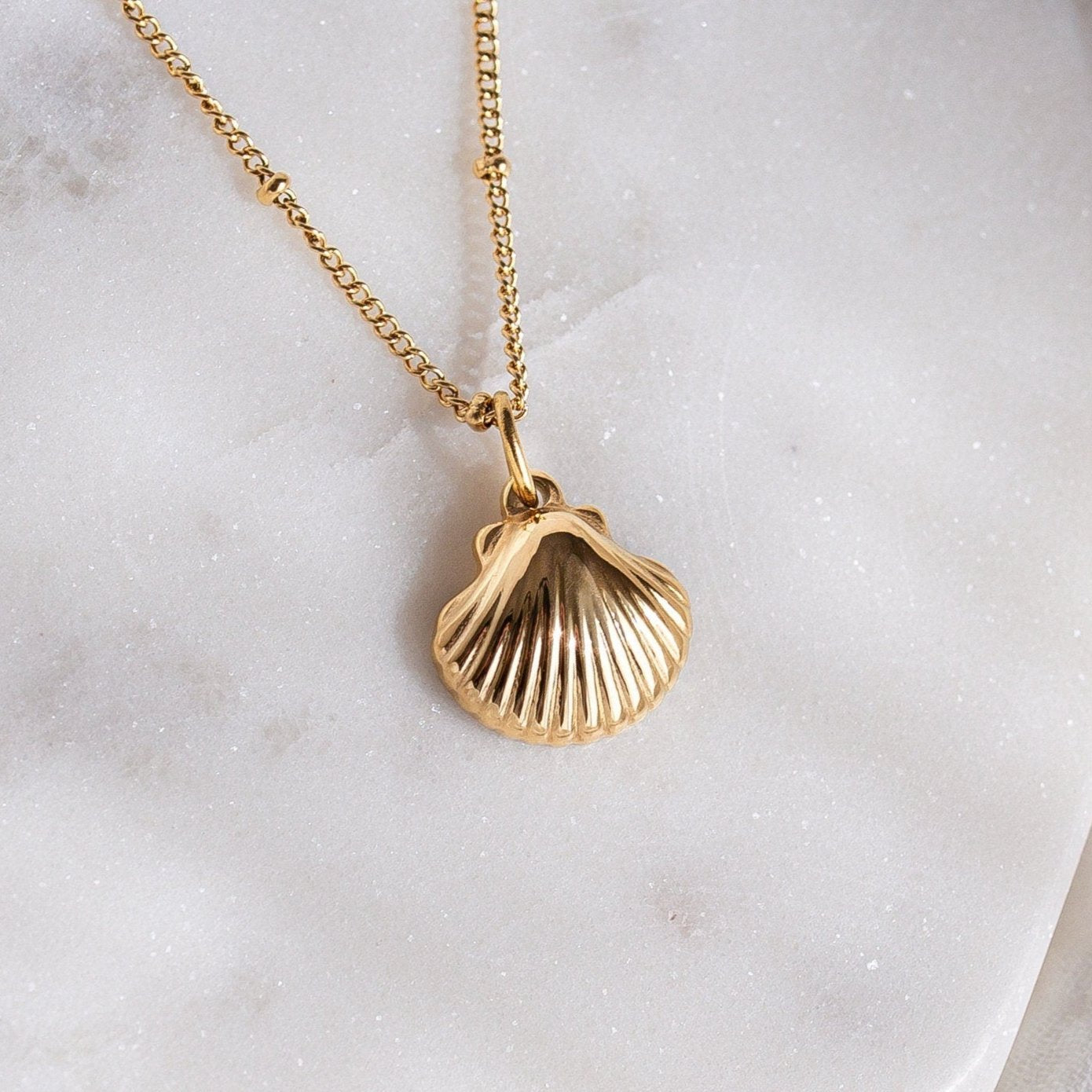 Sea Shell Pendant Necklaces